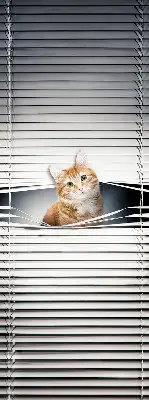 Fabric roller blind for window ginger cat pattern
