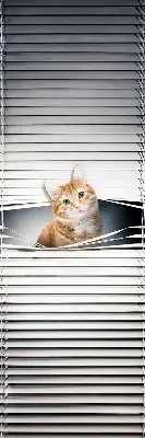 Fabric roller blind for window ginger cat pattern