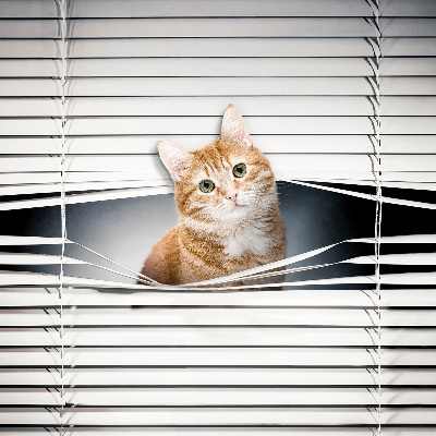 Fabric roller blind for window Ginger cat