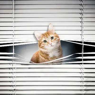 Fabric roller blind for window ginger cat pattern
