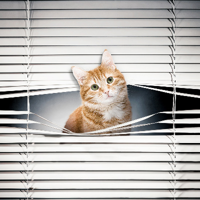 Fabric roller blind for window Ginger cat