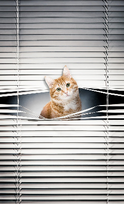 Fabric roller blind for window Ginger cat