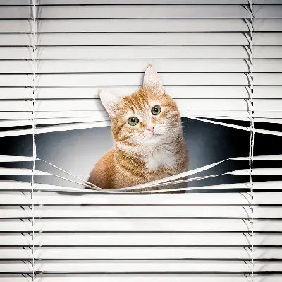 Fabric roller blind for window ginger cat pattern
