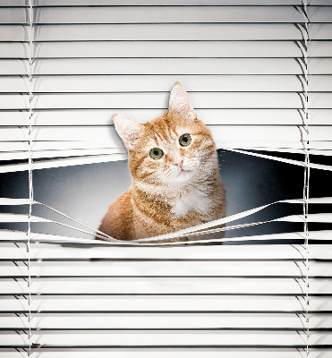 Fabric roller blind for window Ginger cat