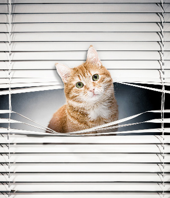Fabric roller blind for window Ginger cat