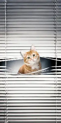 Fabric roller blind for window ginger cat pattern