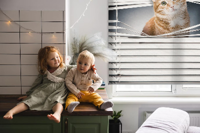 Fabric roller blind for window Ginger cat
