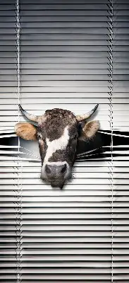 Blackout roller blind cow print
