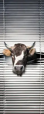 Blackout roller blind cow print