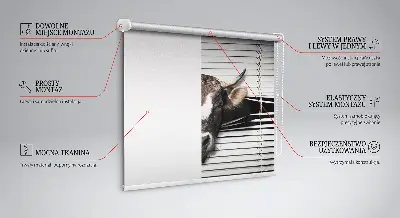 Blackout roller blind cow print