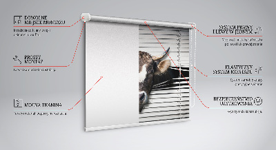 Blackout roller blind Cow