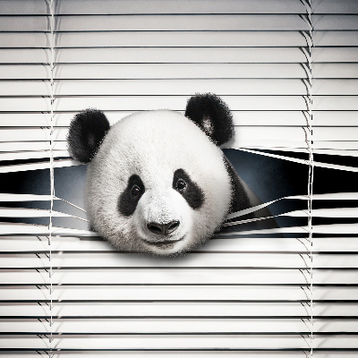 Blackout roller blind for window Panda
