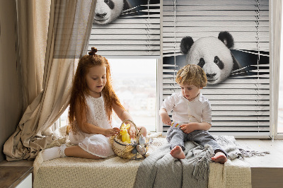 Blackout roller blind for window Panda