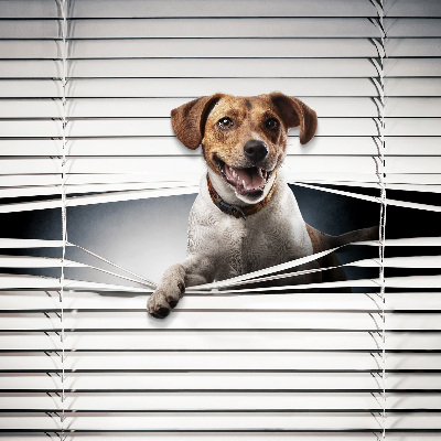 Fabric roller blind for window Dog
