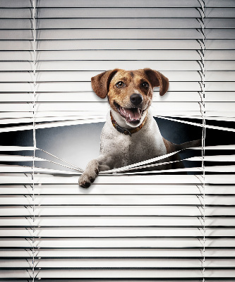 Fabric roller blind for window Dog