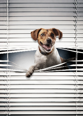 Fabric roller blind for window Dog