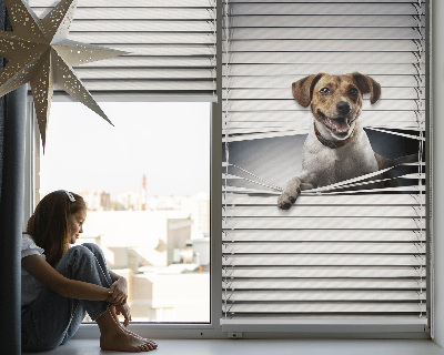Fabric roller blind for window Dog