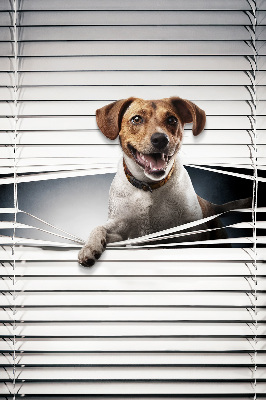 Fabric roller blind for window Dog