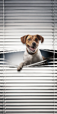Fabric roller blind for window Dog
