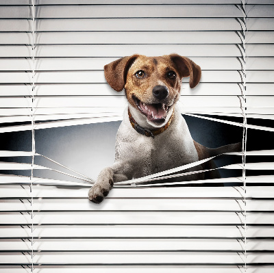 Fabric roller blind for window Dog