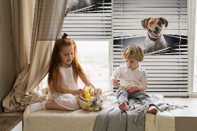 Fabric roller blind for window Dog