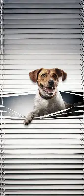 Fabric roller blind for window dog pattern