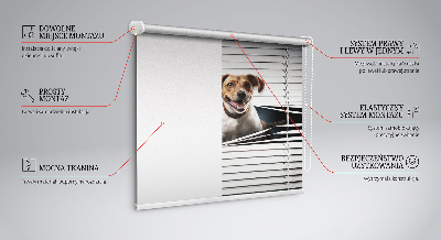 Fabric roller blind for window Dog