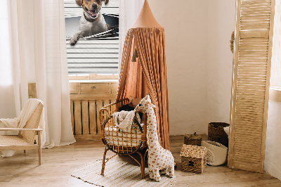 Fabric roller blind for window Dog