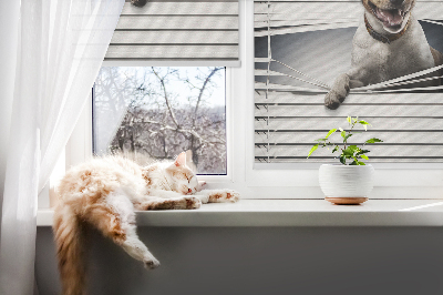 Fabric roller blind for window Dog
