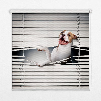 Blackout roller blind dog pattern