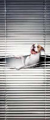 Blackout roller blind dog pattern