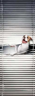 Blackout roller blind dog pattern