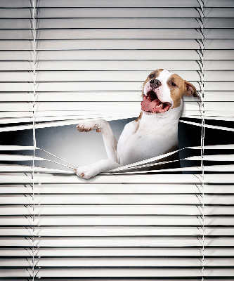 Blackout roller blind Dog