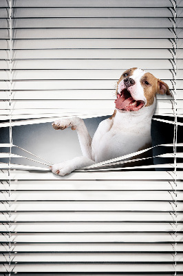 Blackout roller blind Dog