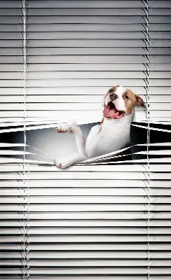 Blackout roller blind dog pattern