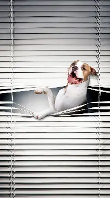 Blackout roller blind dog pattern