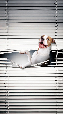 Blackout roller blind Dog