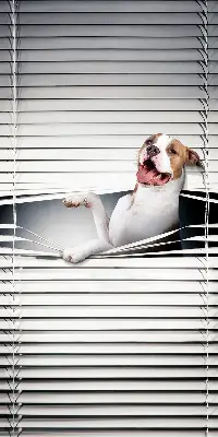 Blackout roller blind dog pattern