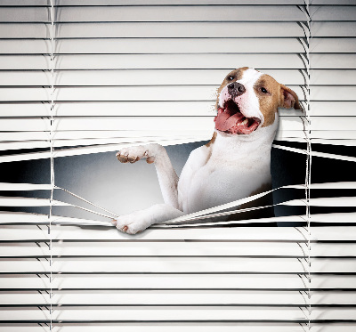 Blackout roller blind Dog