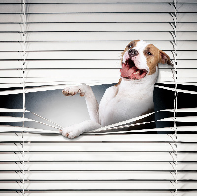 Blackout roller blind Dog