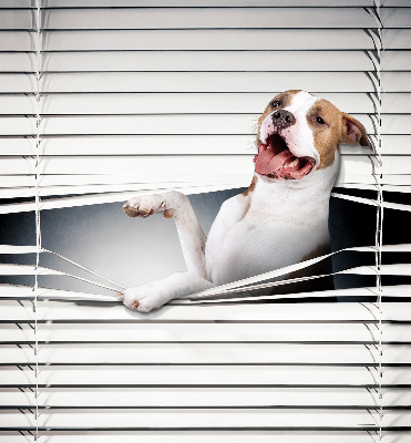 Blackout roller blind Dog