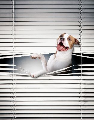 Blackout roller blind Dog