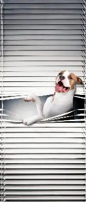 Blackout roller blind dog pattern