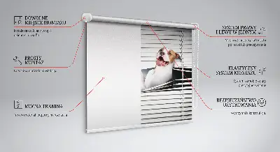 Blackout roller blind dog pattern