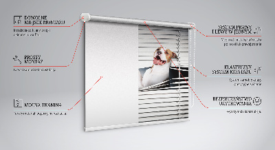 Blackout roller blind Dog