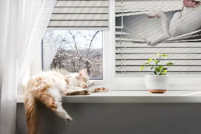 Blackout roller blind dog pattern