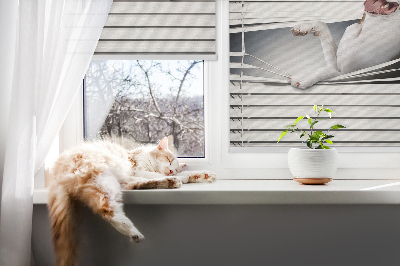 Blackout roller blind Dog