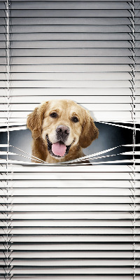 Blackout roller blind for window Golden Dog