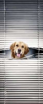 Blackout roller blind for window Golden Dog