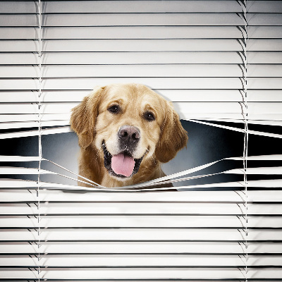 Blackout roller blind for window Golden Dog